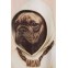 MOD-WAVE-MOVEMENT-T-Shirts-MWM-VANGUARD-DOGS-FACES-T-SHIRT---BEIGE
