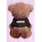 MOD-WAVE-MOVEMENT-T-Shirts-MWM-TEDDY-PRINT-T-SHIRT---PINK
