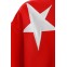 MOD WAVE MOVEMENT Φούτερ λαιμόκοψη MWM WINGS STARS SWEATSHIRT - RED