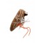 NAKED-WOLFE-Sneakers-ADORED---TAN/WHITE-SUEDE