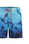 A FISH NAMED FRED Μαγιό Swimshort sharks - UNKNOWN