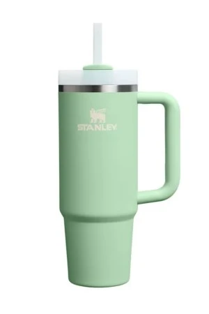 Stanley Quencher Tumbler 0.89L - Pistachio
