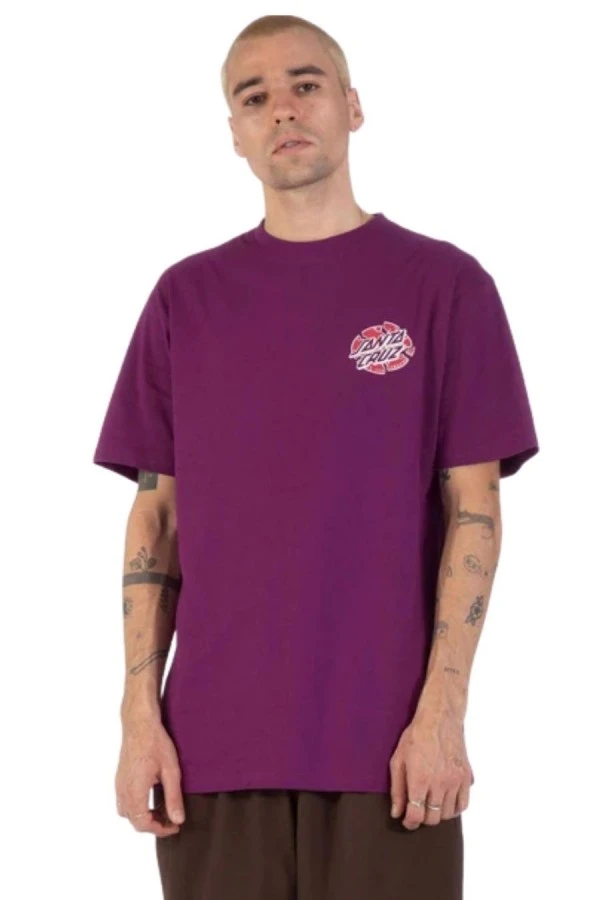 SANTA CRUZ Men's Grabke Exploding Dot T-Shirt - Purple