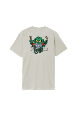 SANTA CRUZ T-Shirts Rankine Monster T-Shirt - GREY