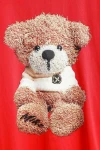 MOD WAVE MOVEMENT T-Shirts MWM TEDDY PRINT T-SHIRT - RED