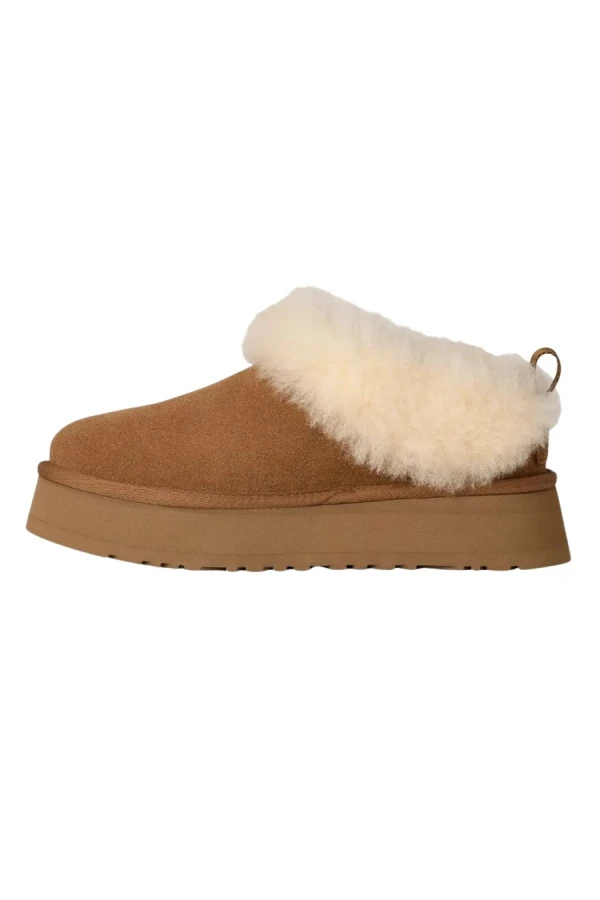 UGG Μπότες- Μποτάκια Tazzelle - CAMEL
