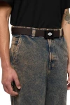 DICKIES Ζώνες ORCUTT - BROWN