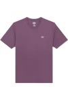 DICKIES T-Shirts MAPLETON SS TEE - PURPLE
