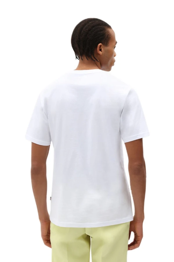 DICKIES T-Shirts MAPLETON SS TEE - WHITE