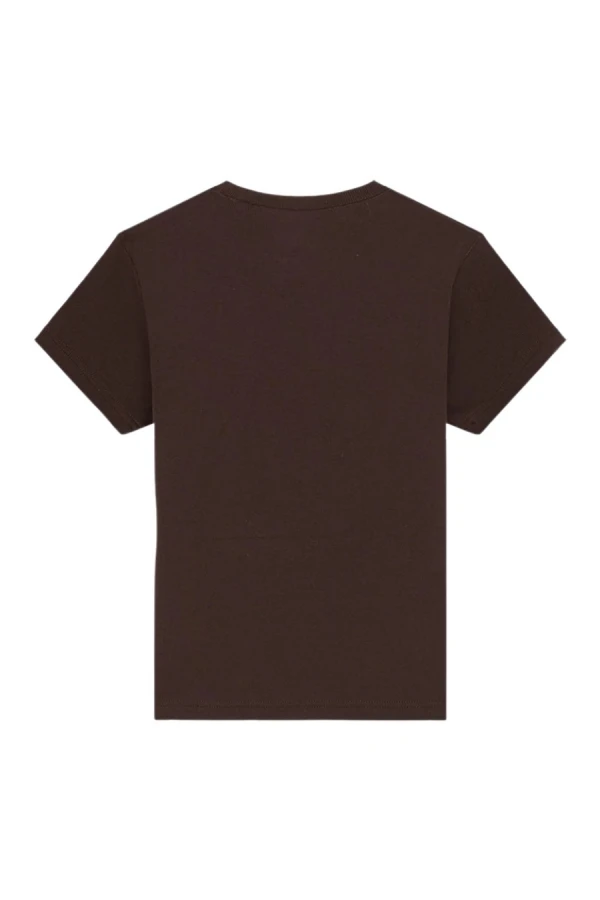 DICKIES T-Shirts GLADEVILLE SS TEE W - BROWN