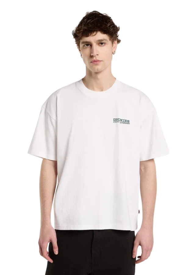 DICKIES T-Shirts AVONDALE SS TEE - WHITE
