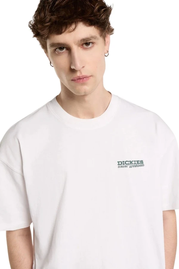 DICKIES T-Shirts AVONDALE SS TEE - WHITE
