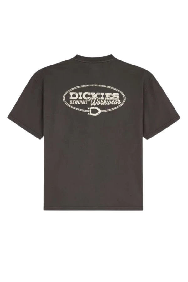 DICKIES T-Shirts AVONDALE SS TEE - BLACK