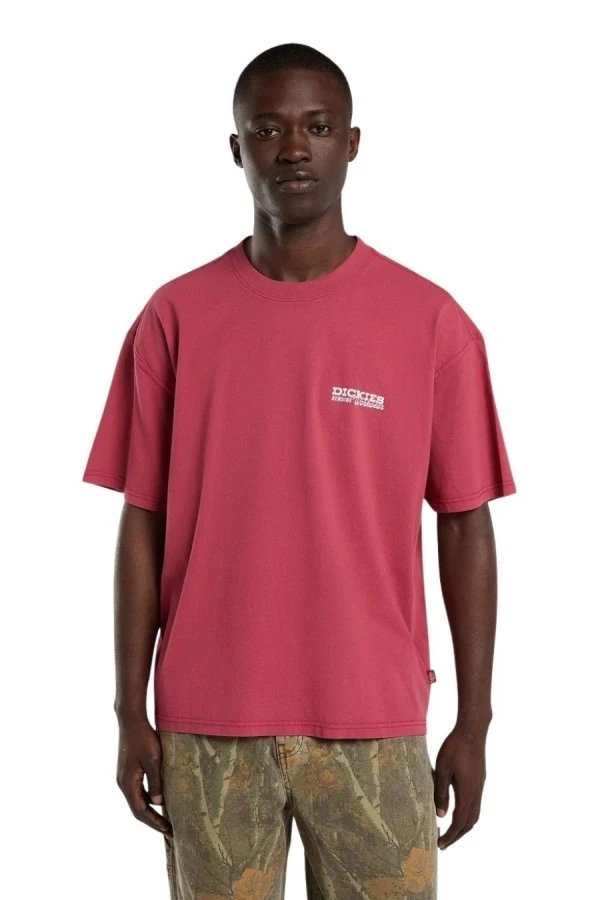 DICKIES T-Shirts AVONDALE SS TEE - 