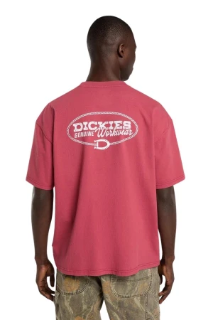 DICKIES T-Shirts AVONDALE SS TEE - 