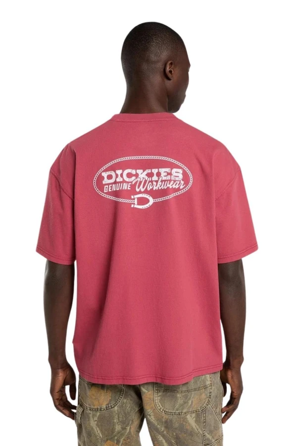 DICKIES T-Shirts AVONDALE SS TEE - 