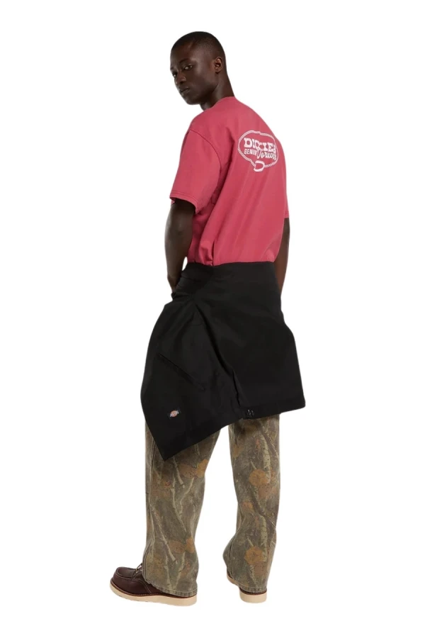 DICKIES T-Shirts AVONDALE SS TEE - 