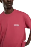 DICKIES T-Shirts AVONDALE SS TEE - 