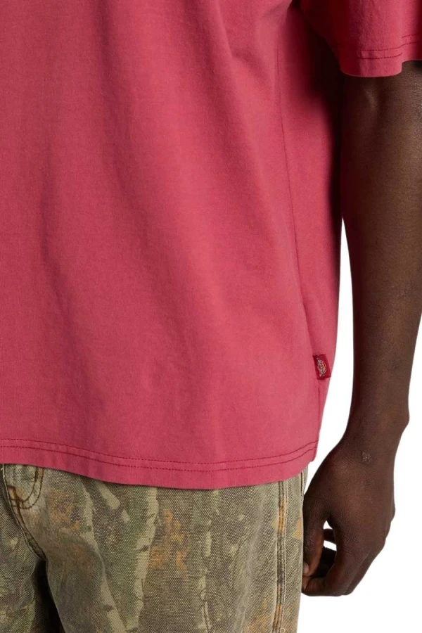 DICKIES T-Shirts AVONDALE SS TEE - 