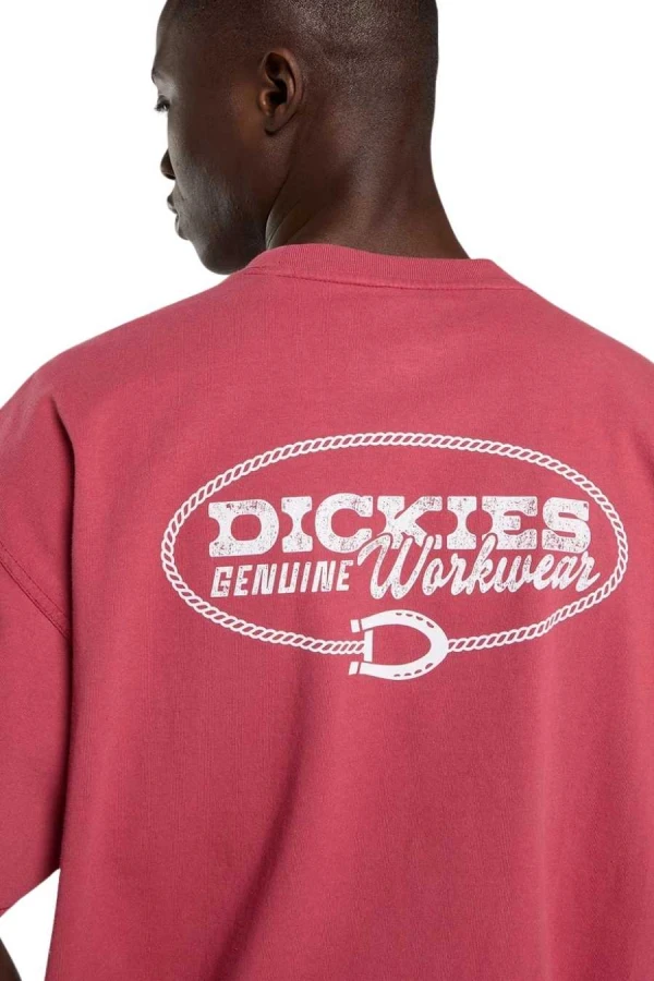 DICKIES T-Shirts AVONDALE SS TEE - 