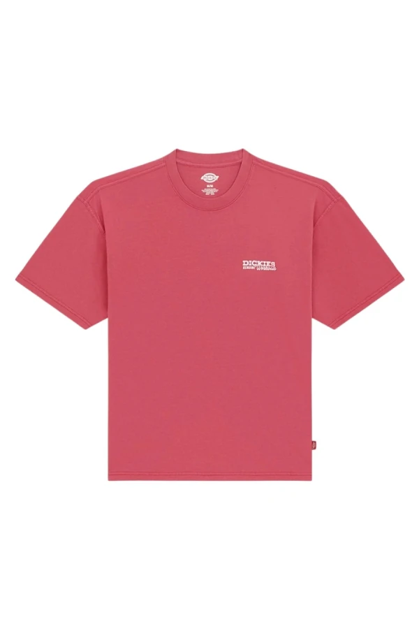 DICKIES T-Shirts AVONDALE SS TEE - 