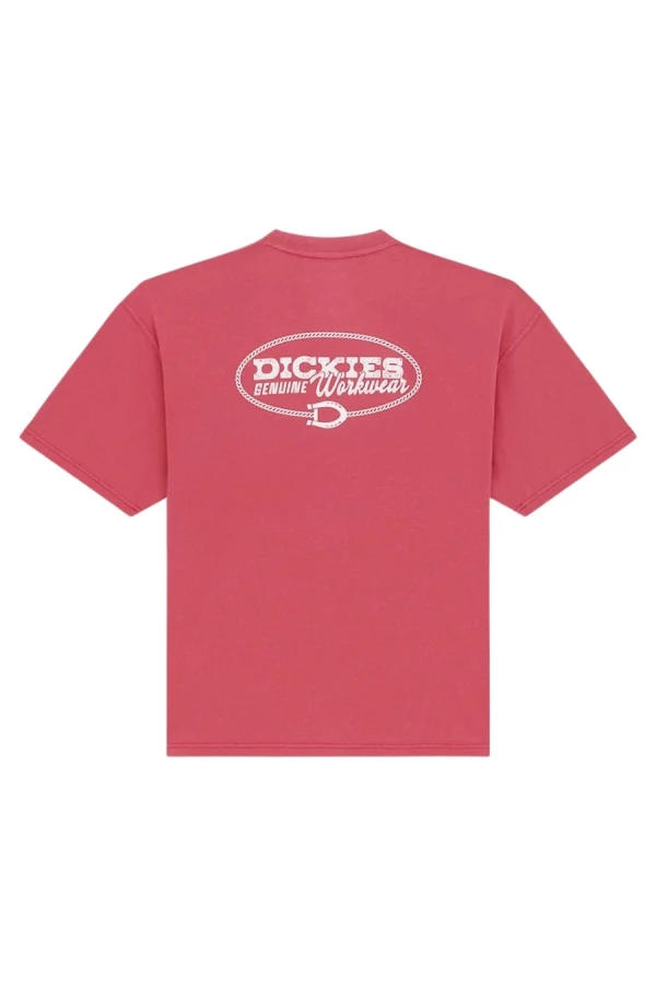 DICKIES T-Shirts AVONDALE SS TEE - 