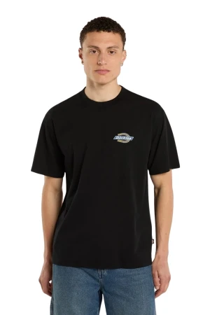DICKIES T-Shirts PARADISE SS TEE - BLACK