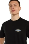 DICKIES T-Shirts PARADISE SS TEE - BLACK