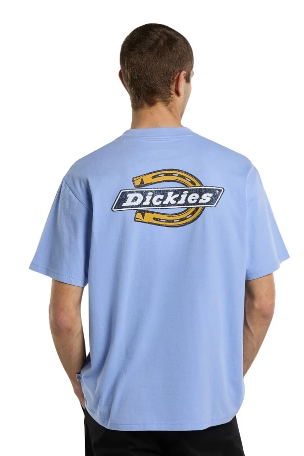 DICKIES T-Shirts PARADISE SS TEE - PURPLE