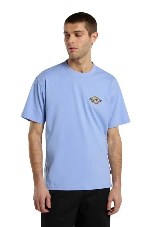 DICKIES T-Shirts PARADISE SS TEE - PURPLE