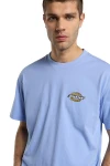 DICKIES T-Shirts PARADISE SS TEE - PURPLE