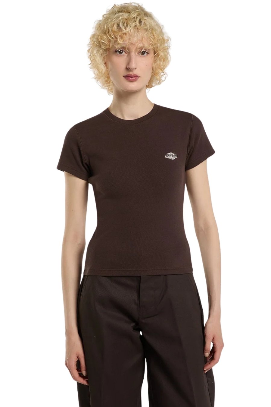 DICKIES T-Shirts GLADEVILLE SS TEE W - BROWN-DK0A87QBCBX1-BROWN